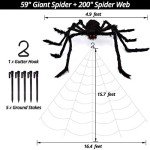 Giant Spider Web and Spider Halloween Decor Set