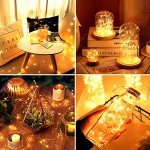 Fairy Lights 12 Pack - Battery Operated Halloween Decor