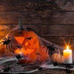 Realistic 60pcs Fake Spider Prank Decorations