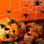 Realistic 60pcs Fake Spider Prank Decorations