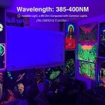 2 Pack 30W LED Black Lights for Halloween