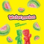 Watermelon SOUR PATCH KIDS Halloween Candy - 12 Boxes