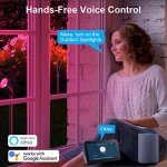 Smart RGB Landscape Spot Lights for Halloween Decor