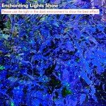 Dalanpa Firefly Garden Laser Star Projector Lights