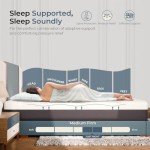 HEIM NEST 10-Inch Queen Gel Air Mattress