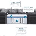 Beautyrest Black C-Class Medium King Air Mattress