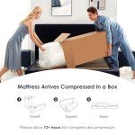 SogesSleep 12" Green Tea Gel Queen Mattress