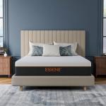ESHINE 12-Inch Queen Memory Foam Mattress for Comfort