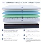 ESHINE 12-Inch Queen Memory Foam Mattress for Comfort