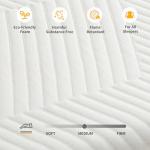 ESHINE 12-Inch Queen Memory Foam Mattress for Comfort
