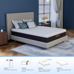 ESHINE 12-Inch Queen Memory Foam Mattress for Comfort
