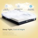 HEIM NEST Queen 10-Inch Gel Memory Foam Mattress
