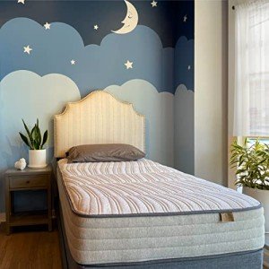 10" Organic Hybrid Mattress - King Size Comfort