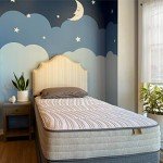 10" Organic Hybrid Mattress - King Size Comfort