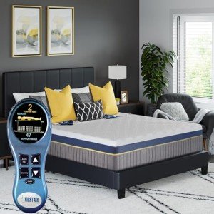 Queen 11" Dual-Chamber Pressure Relief Air Mattress