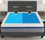 Queen 11" Dual-Chamber Pressure Relief Air Mattress