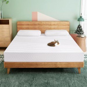 Twin Airdown Memory Foam Mattress for Pressure Relief