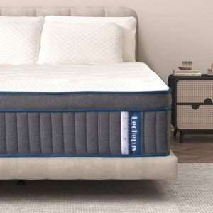 Lechepus 14" Gel Memory Foam Hybrid Mattress