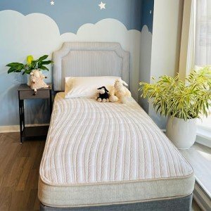 Ethical Mattress CO Kid's Organic Mattress - Full Size