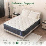 Lechepus 14" Gel Memory Foam Hybrid Mattress