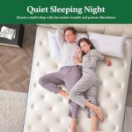 Lechepus 14" Gel Memory Foam Hybrid Mattress