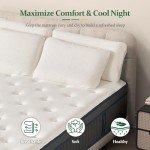 Lechepus 14" Gel Memory Foam Hybrid Mattress