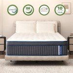 Lechepus 14" Gel Memory Foam Hybrid Mattress