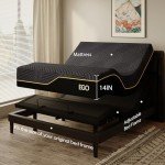Queen Adjustable Bed Frame with 14" Memory Foam