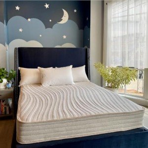 Toxin-Free 10" Hybrid Queen Mattress - USA Made