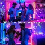 Professional Sound-Activated DJ Laser Lights Show