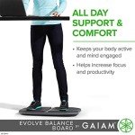 Gaiam Evolve Balance Board - Gray/Black
