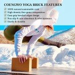 Eco-Friendly Cork Yoga Block Set of 2