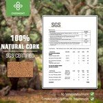 Natural Cork Yoga Blocks with Strap - 2 Pack