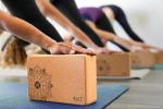Cork Yoga Blocks and Resistance Bands Set