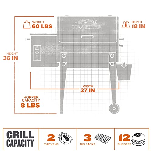 Portable Traeger Wood Pellet Grill & Smoker