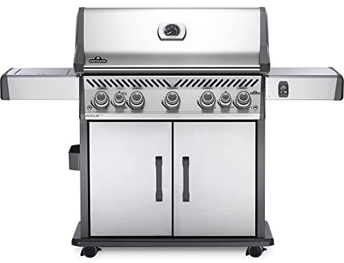 Rogue SE 625 Gas Grill with Infrared Burners