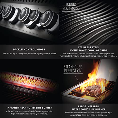 Rogue SE 625 Gas Grill with Infrared Burners