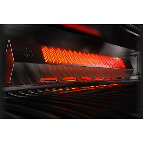 Rogue SE 625 Gas Grill with Infrared Burners