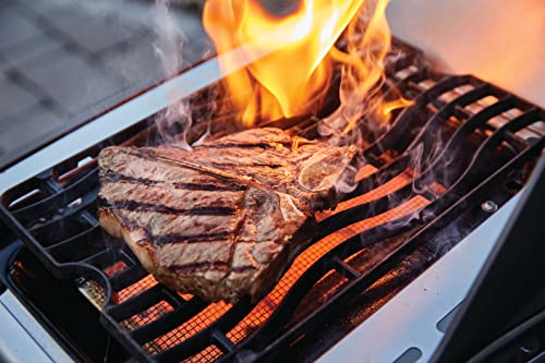 Rogue SE 625 Gas Grill with Infrared Burners