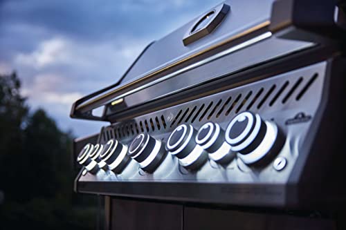 Rogue SE 625 Gas Grill with Infrared Burners