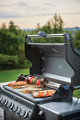 Rogue SE 625 Gas Grill with Infrared Burners
