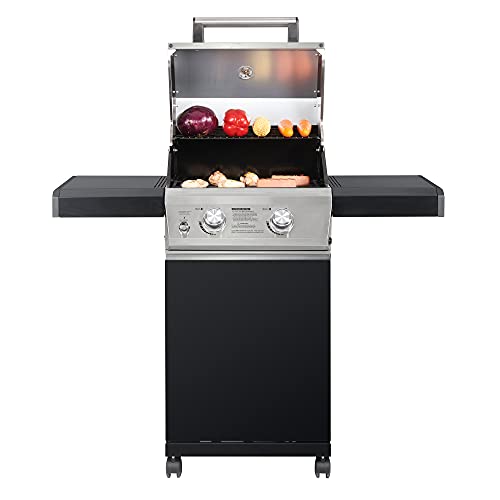 Monument Propane Grill with BBQ Cover