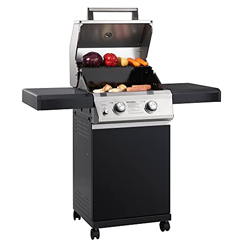Monument Propane Grill with BBQ Cover
