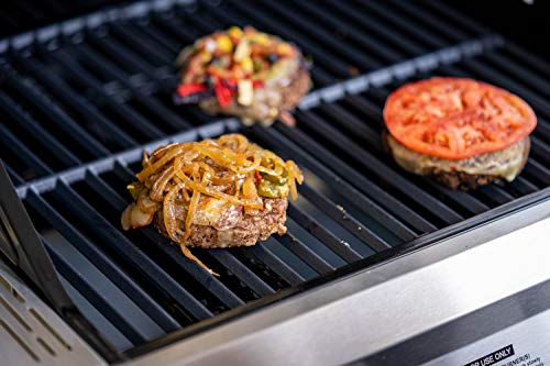 Monument Propane Grill with BBQ Cover