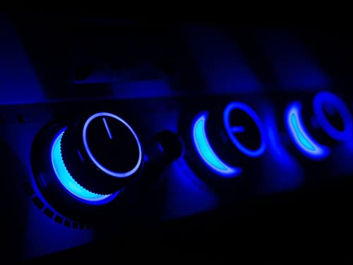 Monument Propane Grill with BBQ Cover