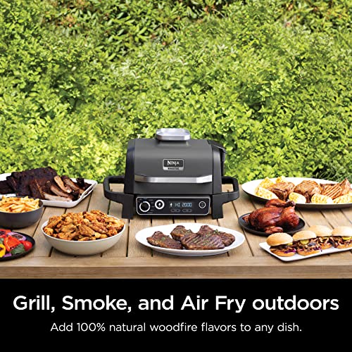 Ninja Woodfire Pro Grill & Smoker Combo