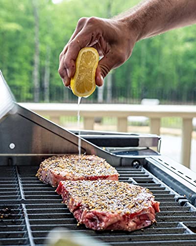 Monument 4-Burner Stainless Steel Gas Grill