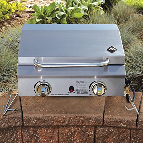 Portable Stainless Steel 2-Burner Gas Grill