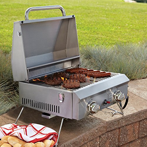 Portable Stainless Steel 2-Burner Gas Grill