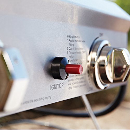 Portable Stainless Steel 2-Burner Gas Grill